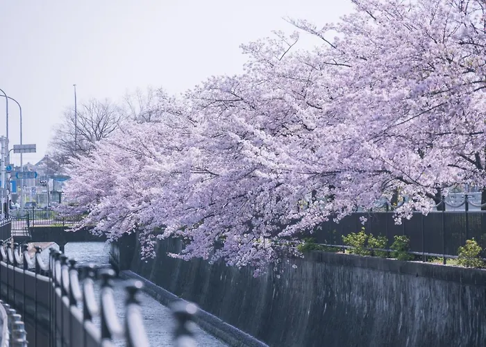 Kamo River J~House